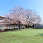 マザーアース、サテライト桜