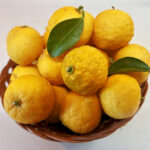 マザーアース　冬至　ゆず湯♨️