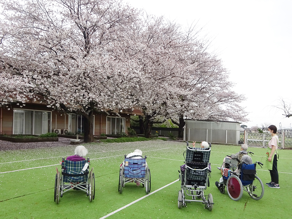 1F特養・ショートステイ 南庭 花見