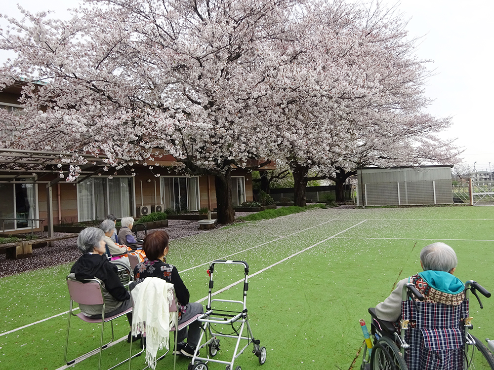 1F特養・ショートステイ 南庭 花見