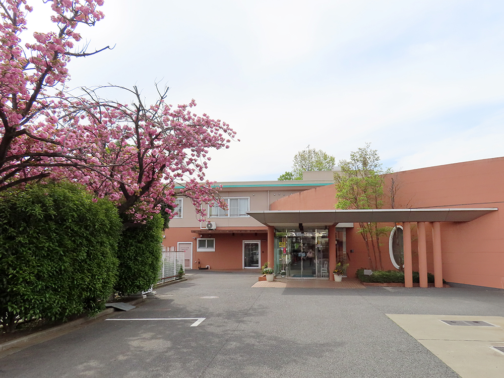 八重桜とハナミズキ