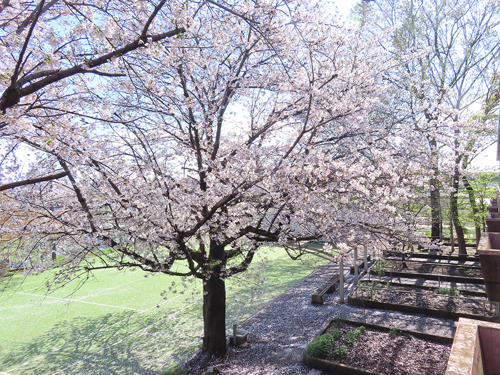 移動カフェ(特養・ショートステイ)