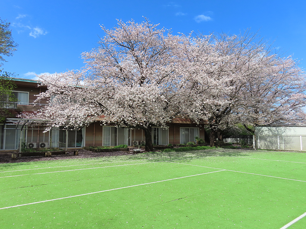 移動カフェ(特養・ショートステイ)