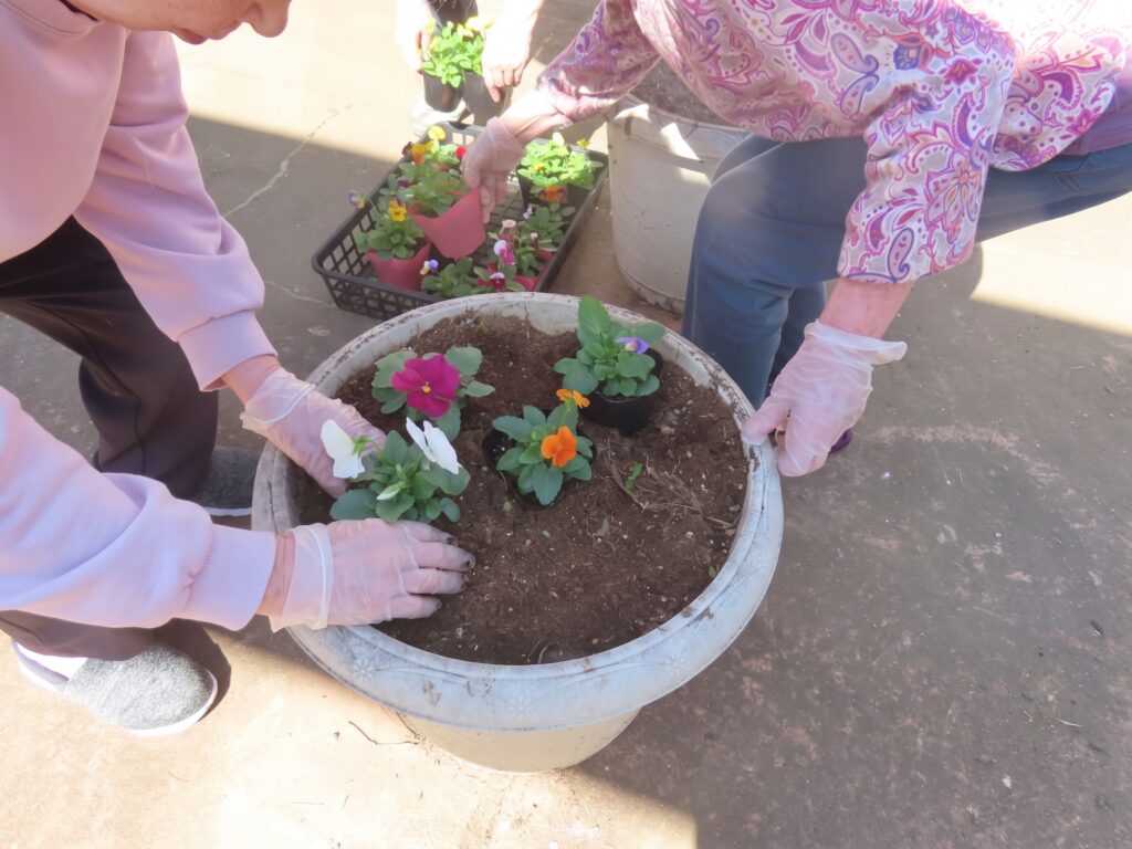 いやしの介護　寄せ植え