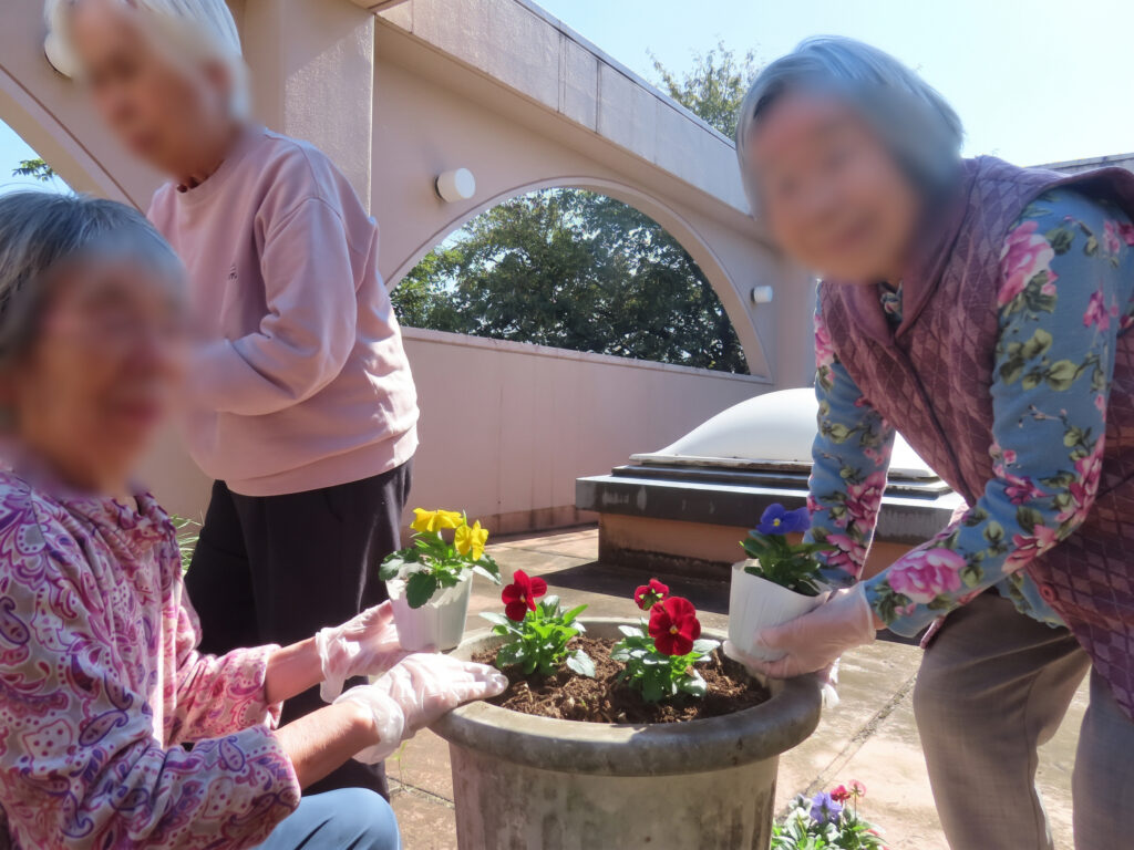 いやしの介護　寄せ植え