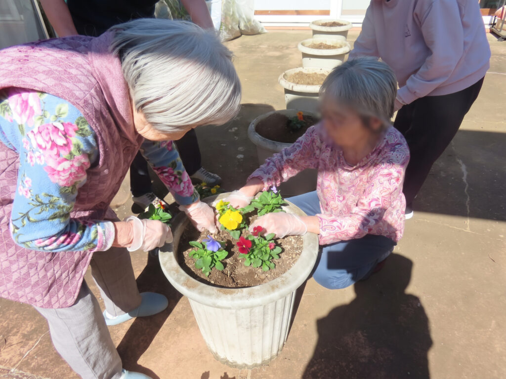 いやしの介護　寄せ植え