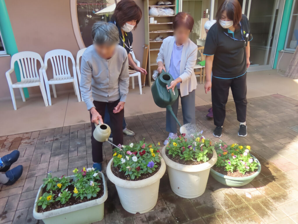 いやしの介護　寄せ植え